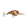 62 - Natural Brown Crayfish