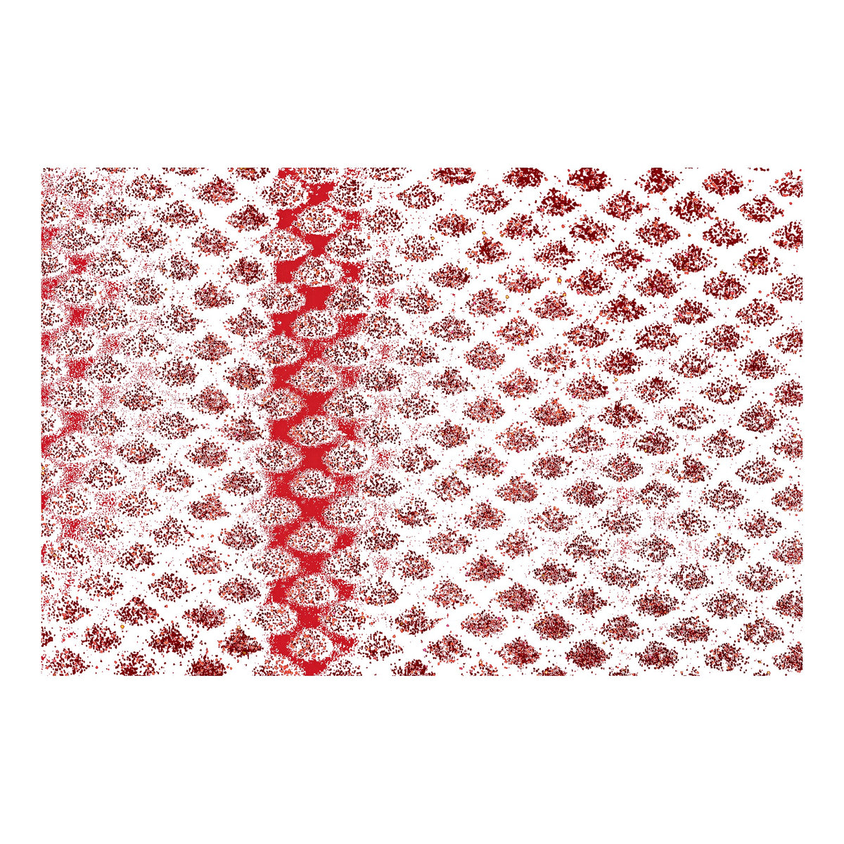 START Custom Silicone Sheet - Red Scale