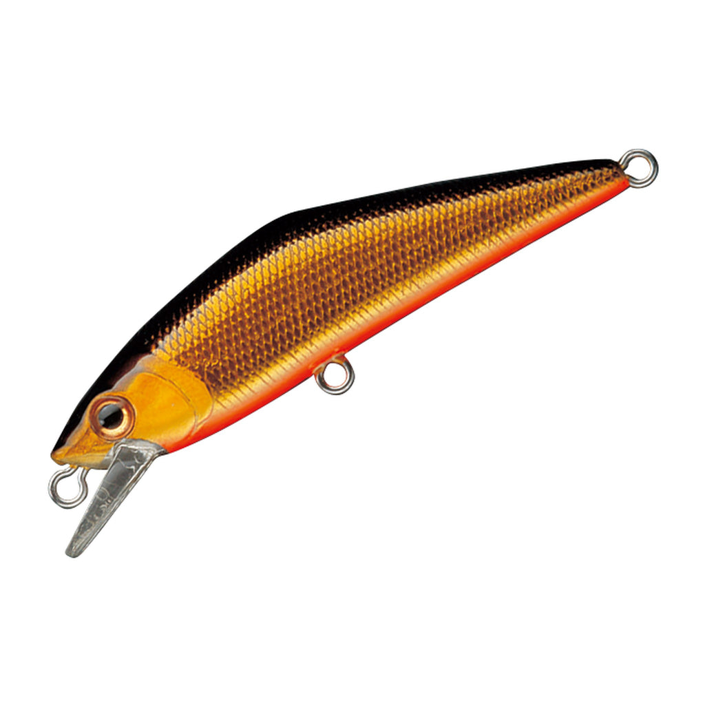 Smith D-Contact 72 in #01 Gold Black (Kinkuro) — official Smith product photo