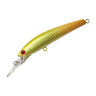 #07 Arowana
