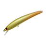 #07 Arowana