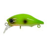 #05 Tree Frog (Amagaeru)
