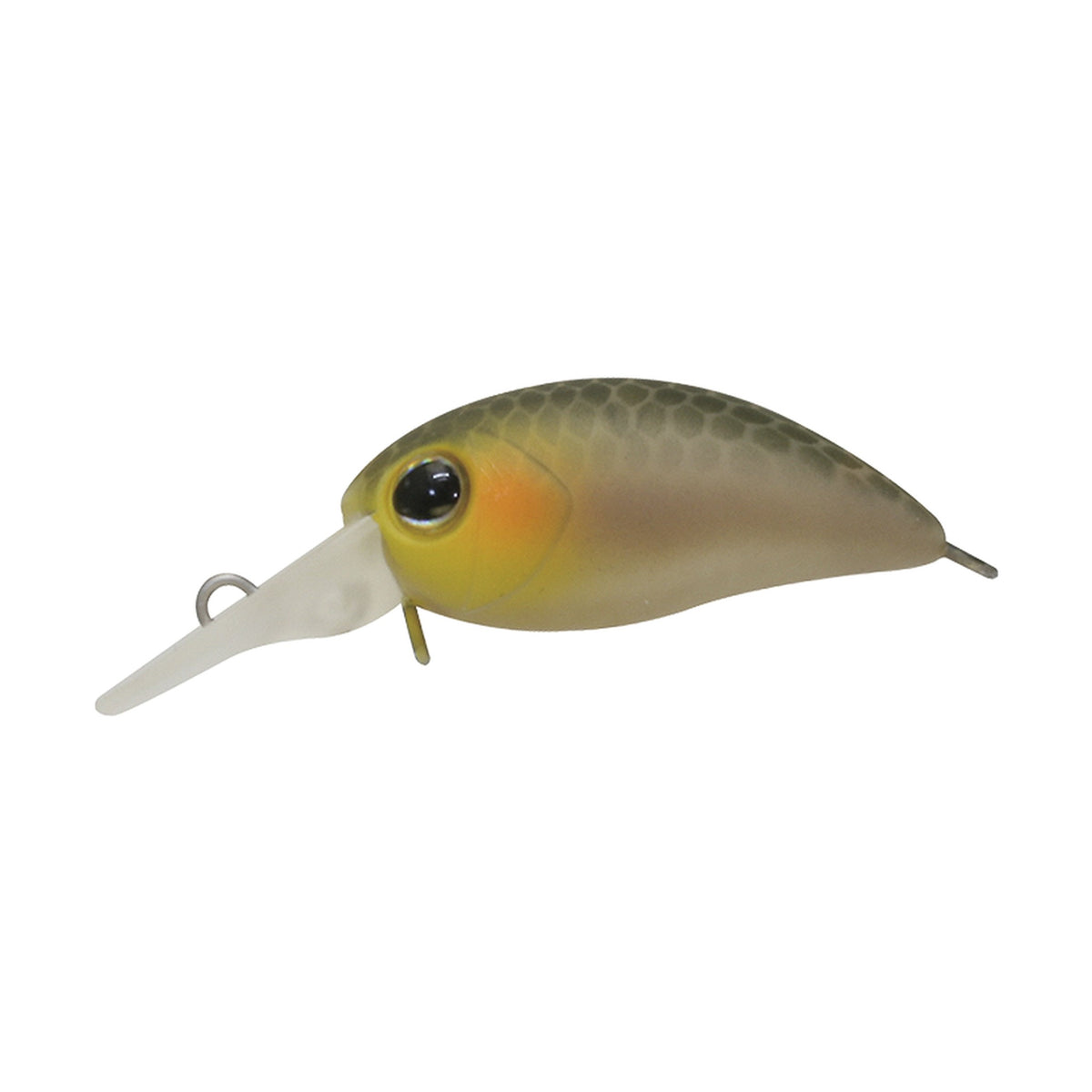 Timon Chibi Panicra DR in Shizuoka Bijin — official Timon product photo