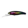 #06 BRB (Black Rainbow)