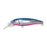 #21 H-BLPK (Blue Back Pink Belly Holo)