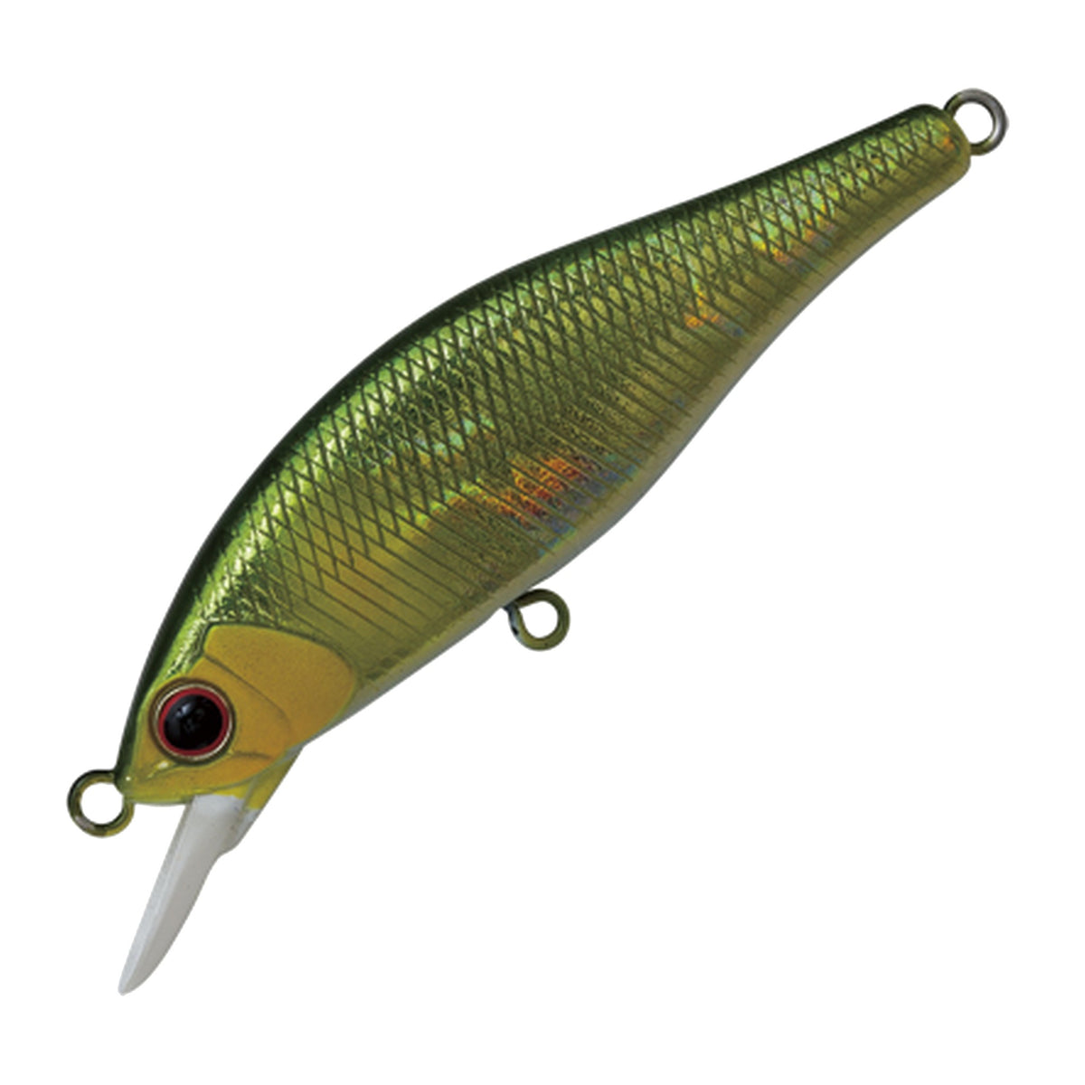 Palms Alexandra 50HW - Oiboshi Ayu WL A-127