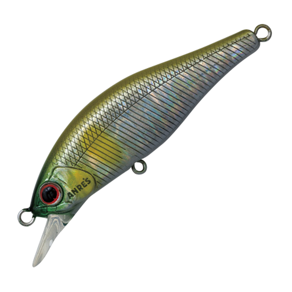 Palms Alexandra 50HW - A-51 Abalone Ayu