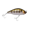 KRD - Kurodai (Black Sea Bream)