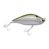 SPM - Konoshiro (Gizzard Shad)