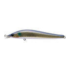 Apia Ailed'Ore 115F in #14 Mullet GLX — official Apia product photo