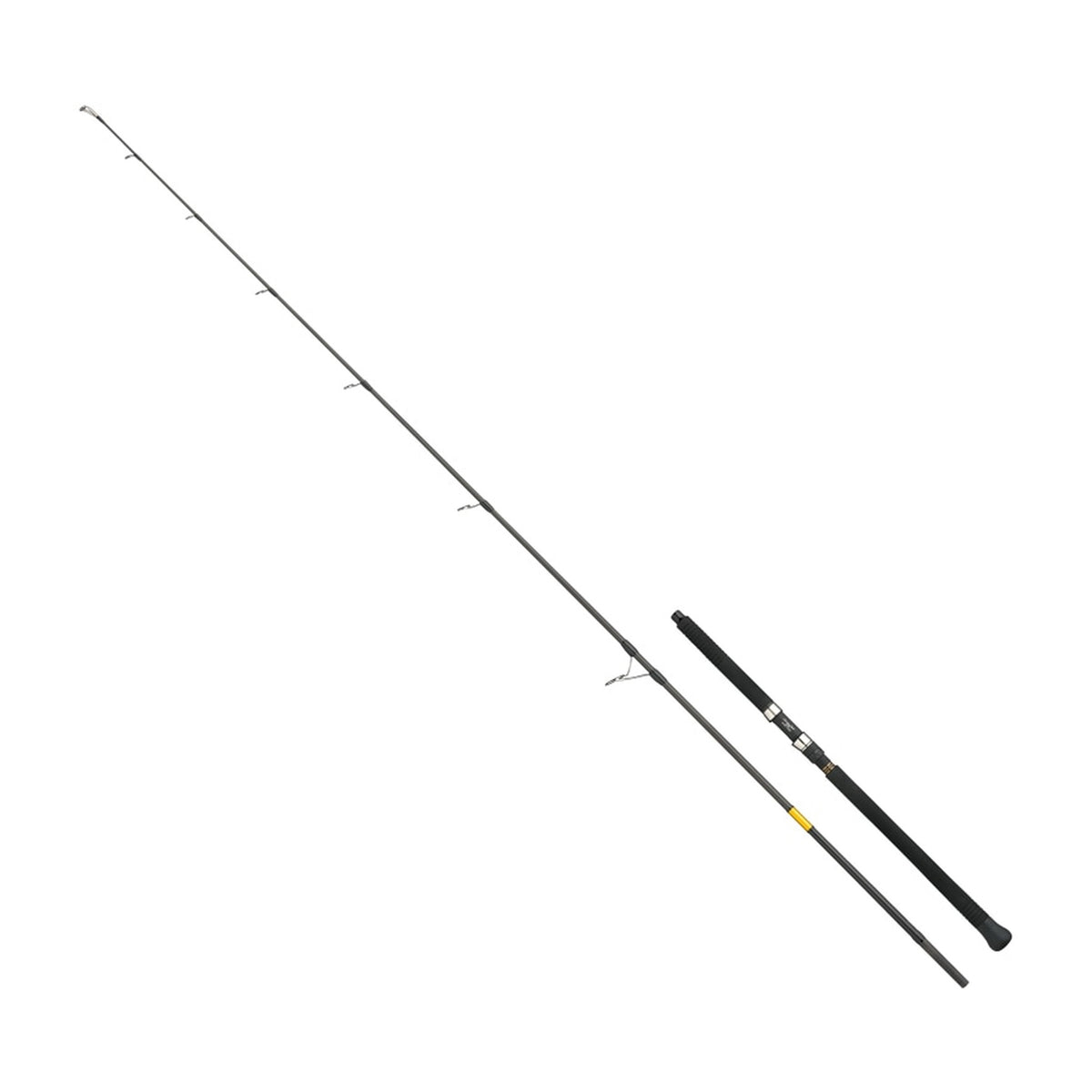 Apia GRANDAGE WORLD OCEAN 834ML offshore casting rod