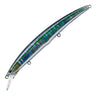 Shore Sardine