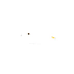 Attic ARCRANK MR #9 Fluorescent White P