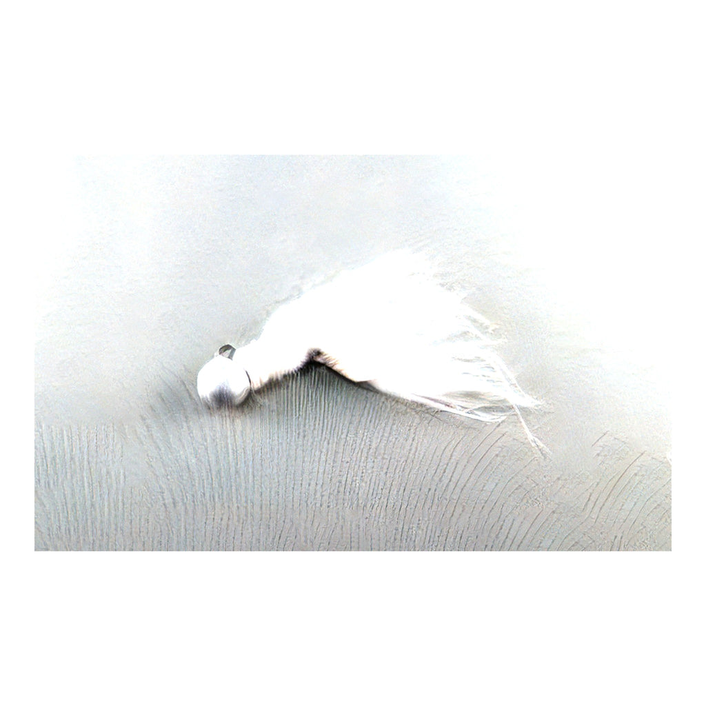 Attic EZcast Usachan Jig 1g #3 White