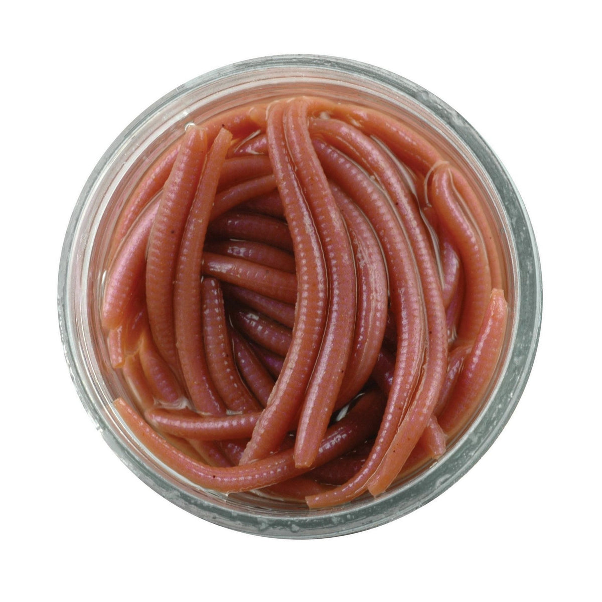 Berkley Gulp! Alive Angle Worm in Natural (NAT) — official Berkley product photo