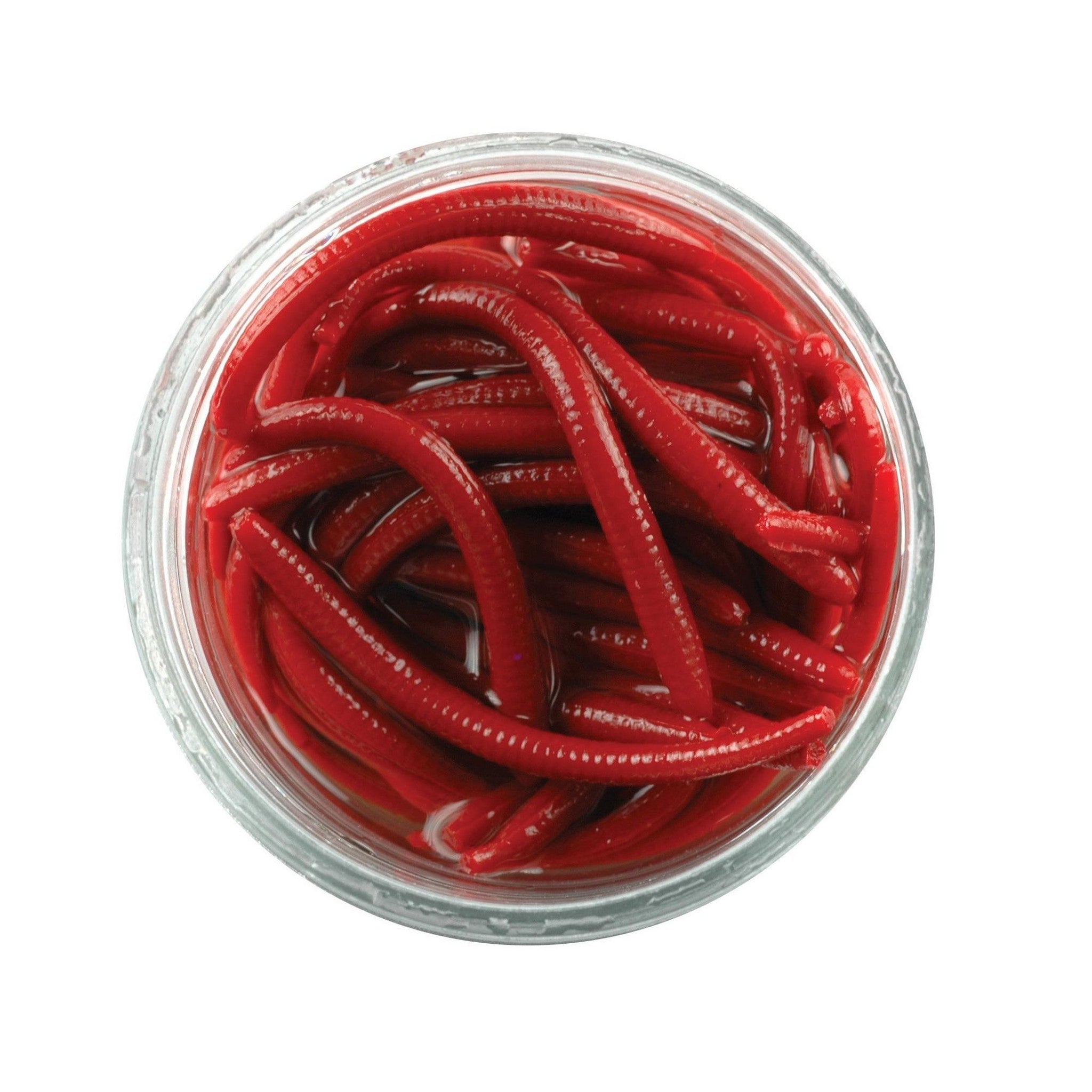 Berkley Gulp! Alive Angle Worm in Red Wiggler (RDW) — official Berkley product photo