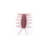 #26 Mimizu (Earthworm)