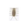 #30 Sujiebi (Grass Shrimp)