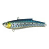 HH-16 Hi-Through Holo Sardine