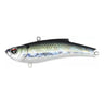 CH-391 Brackish Mullet
