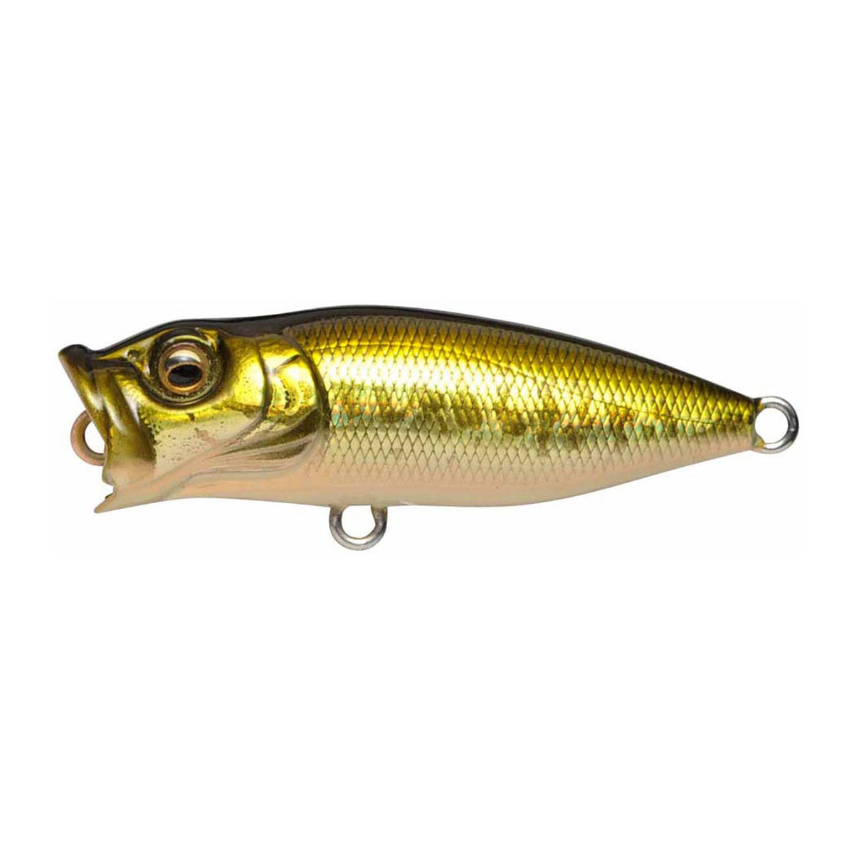 Megabass BABY POPX in GG Bass — official product photo