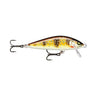 GDMT - Gilded Mediterranean Trout