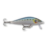 GDMI - Sardine (Maiwashi)