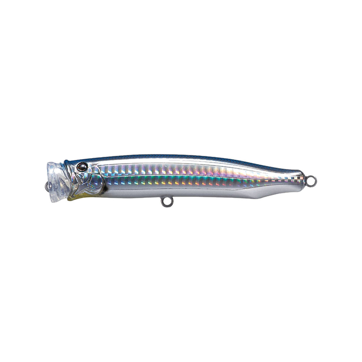 No.11 Saury