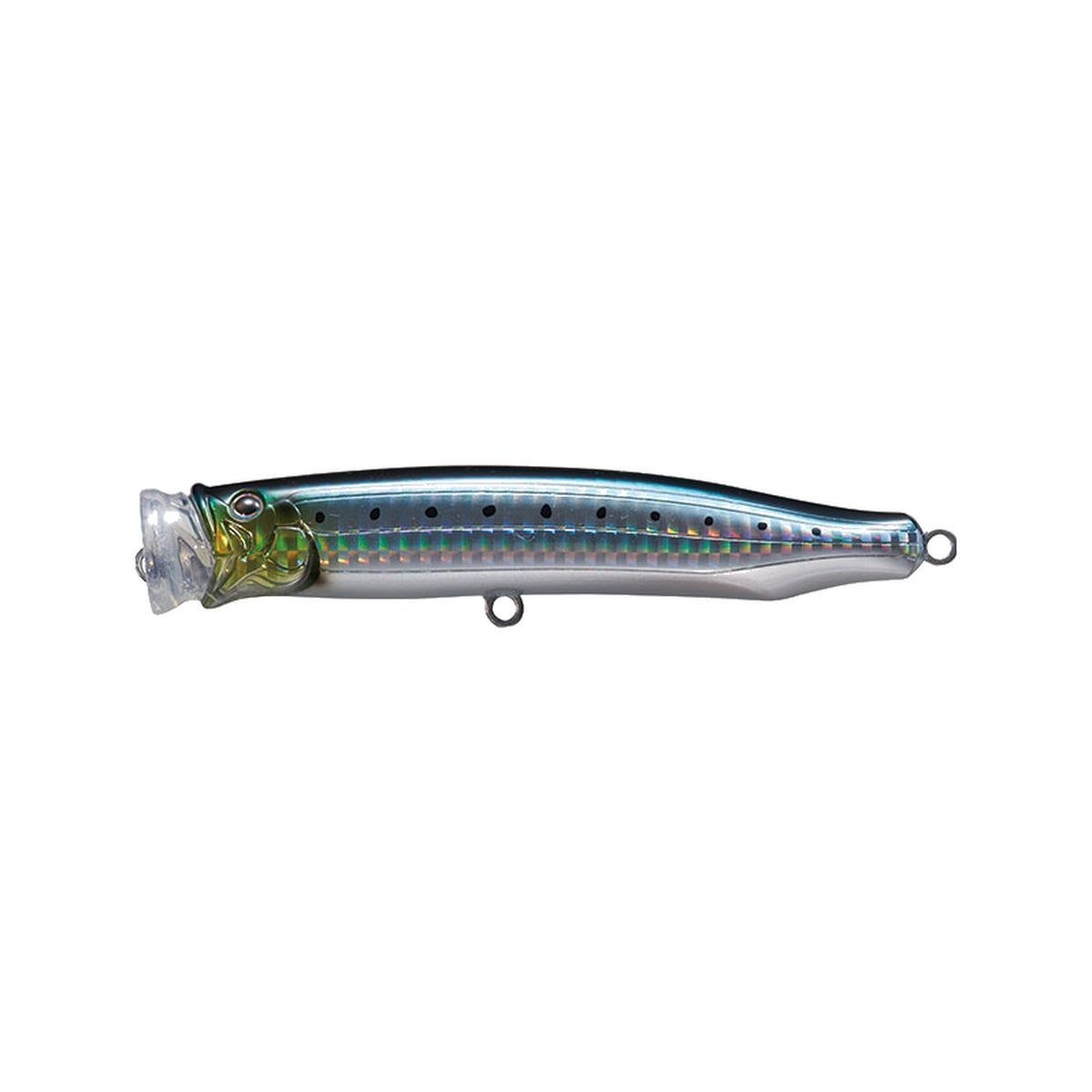 No.7 Sardine