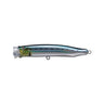 No.7 Sardine