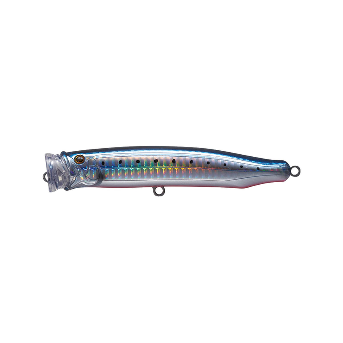 No.8 Sardine/Red Belly