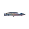 No.8 Sardine/Red Belly