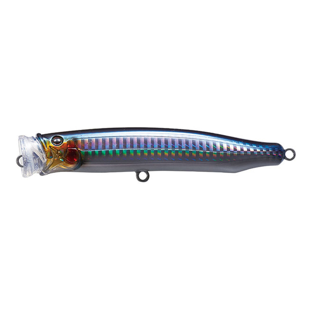 No.9 Black-Back Anchovy