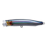 No.9 Black-Back Anchovy