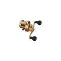 Daiwa 21BASARA IC 150L