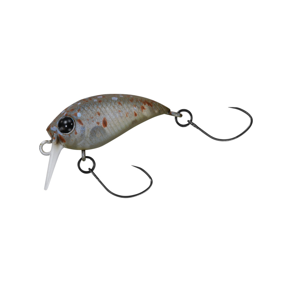Daiwa Presso Wabukura Jr. 25F SR