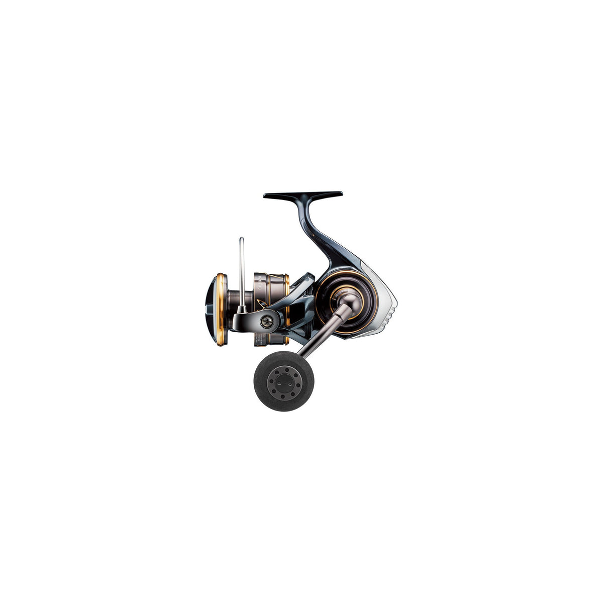 Daiwa 22CALDIA SW