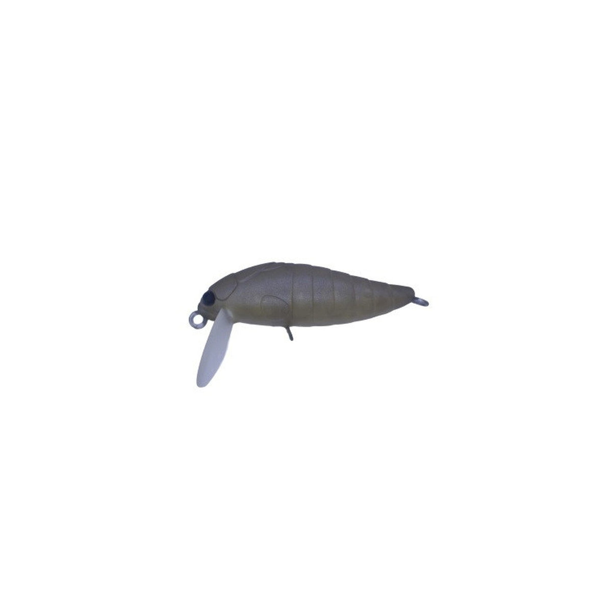 daysprout-ds-cicada-hf-g2
