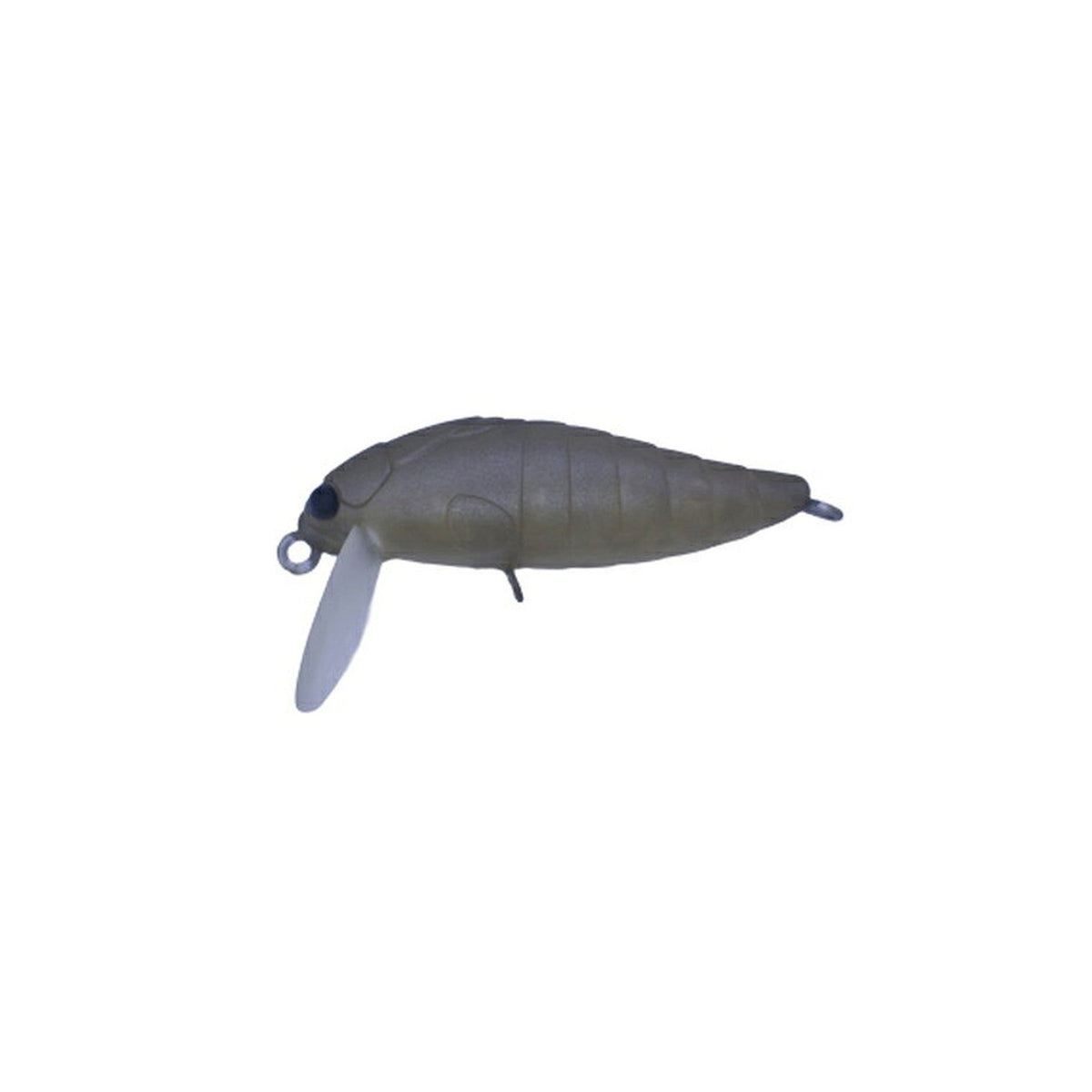 daysprout-ds-minicicada-hf-g2