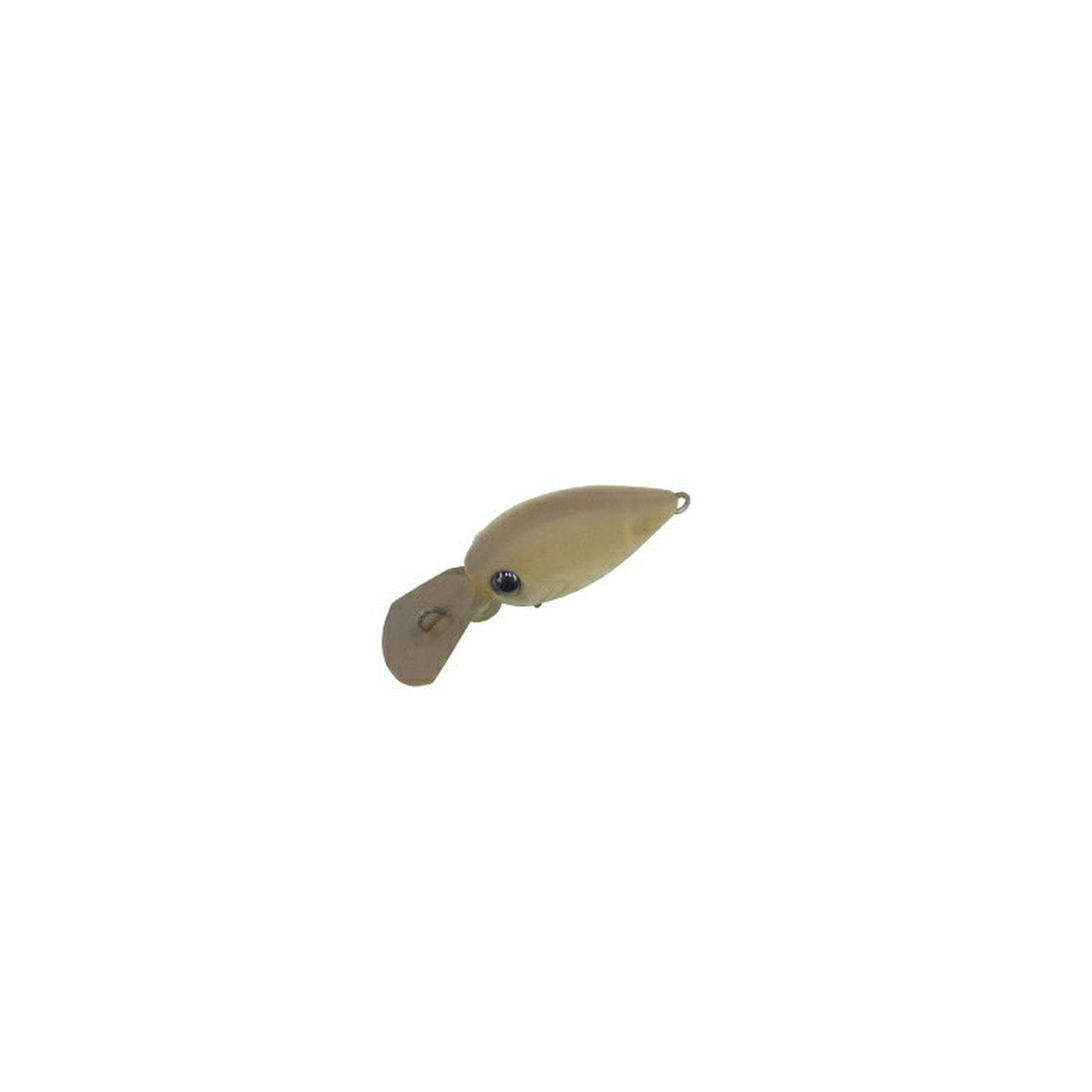 daysprout-pico-chattecra-dr-f