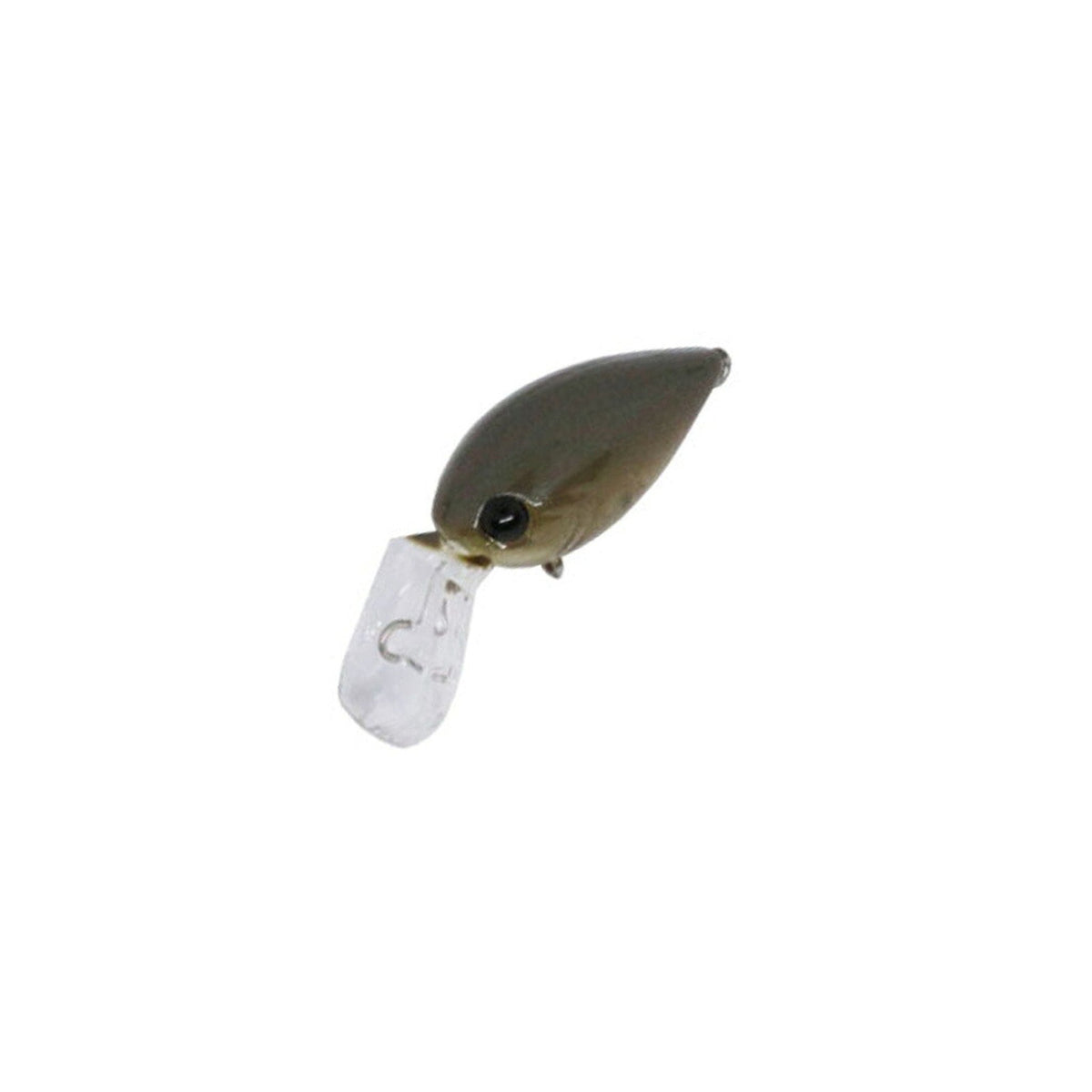 daysprout-pico-chattecra-md-f