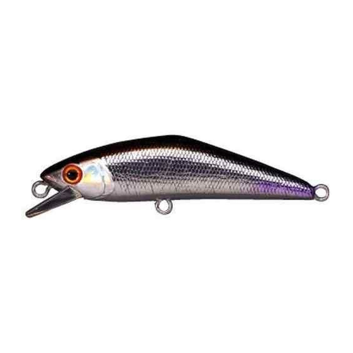 Smith D-Contact 50 in #13 Wakasagi — official product photo