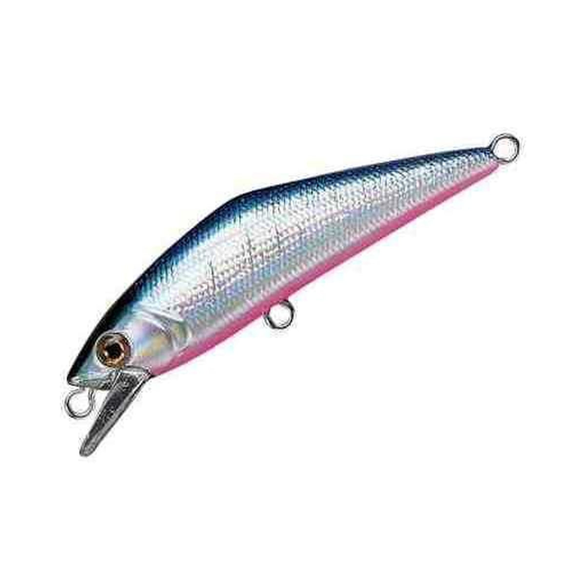 Smith D-Contact 50 in #22 Blue Pink — official product photo