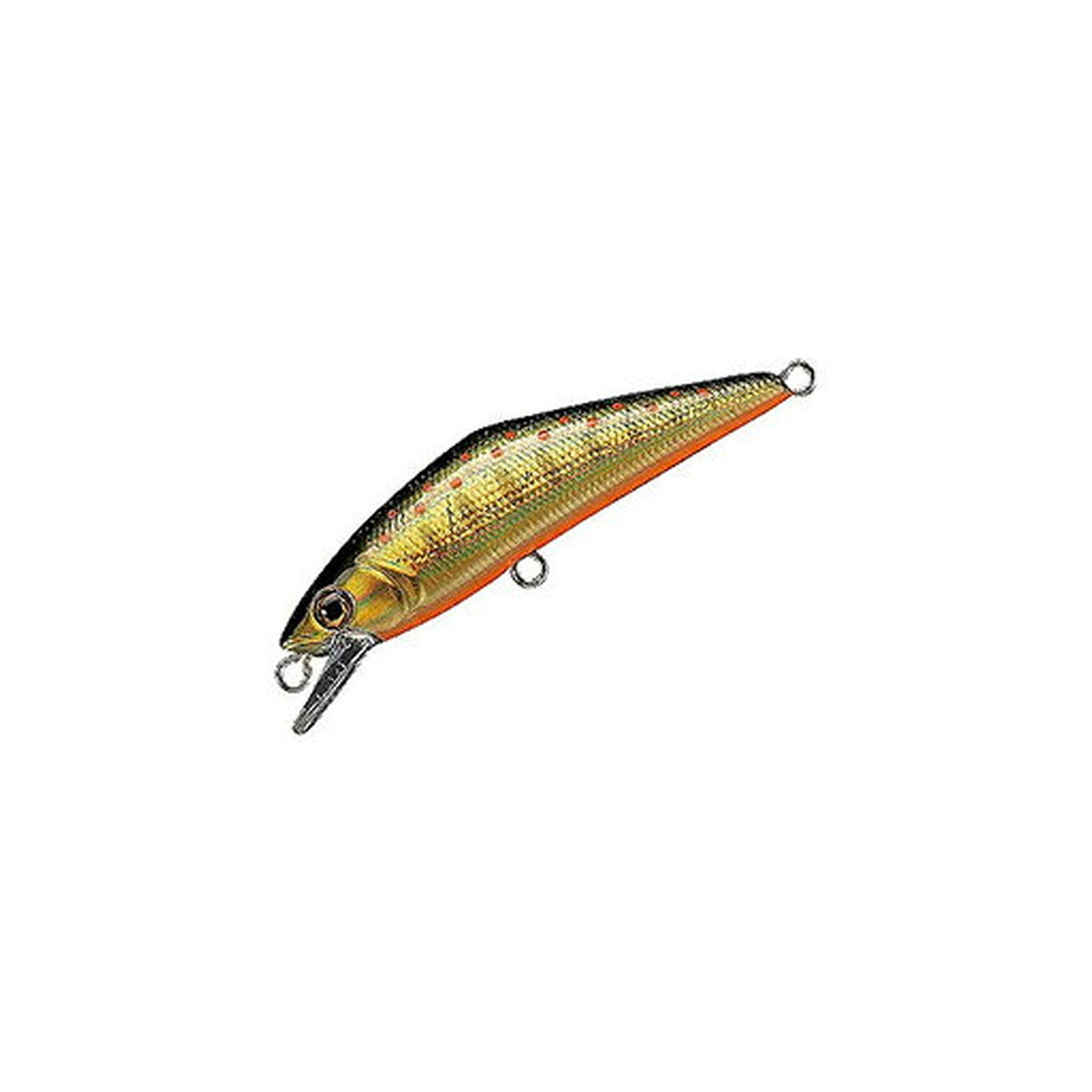 Smith D-Contact 50 in #23 G Yamame — official product photo