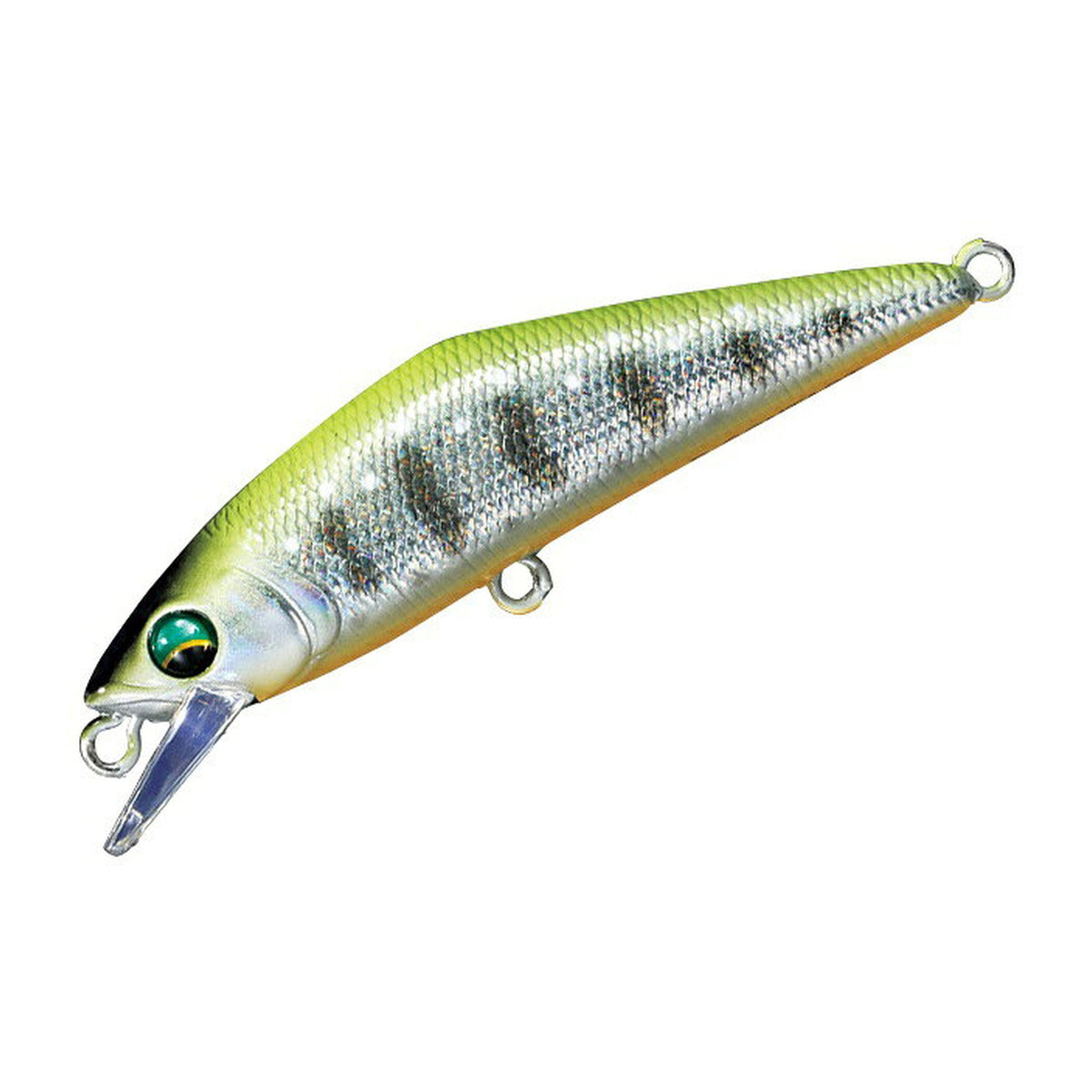 Smith D-Contact 50 in #49 Champagne Yamame — official product photo