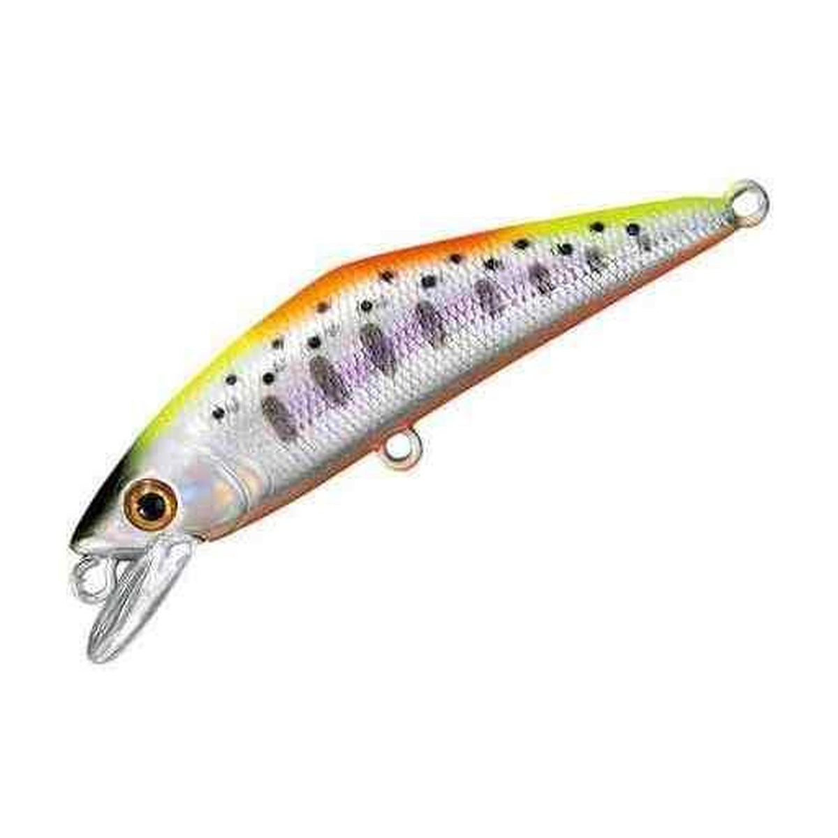 Smith D-Contact 50 in #54 WS Indicator — official product photo