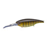 Bluegill Chart Belly