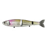 #05 Delta Smelt