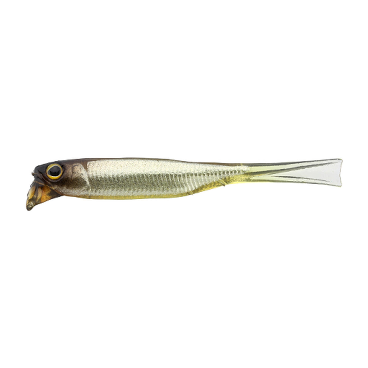 Jackall Driftfry 2.5 Elastomer in Stain Secret — official Jackall product photo