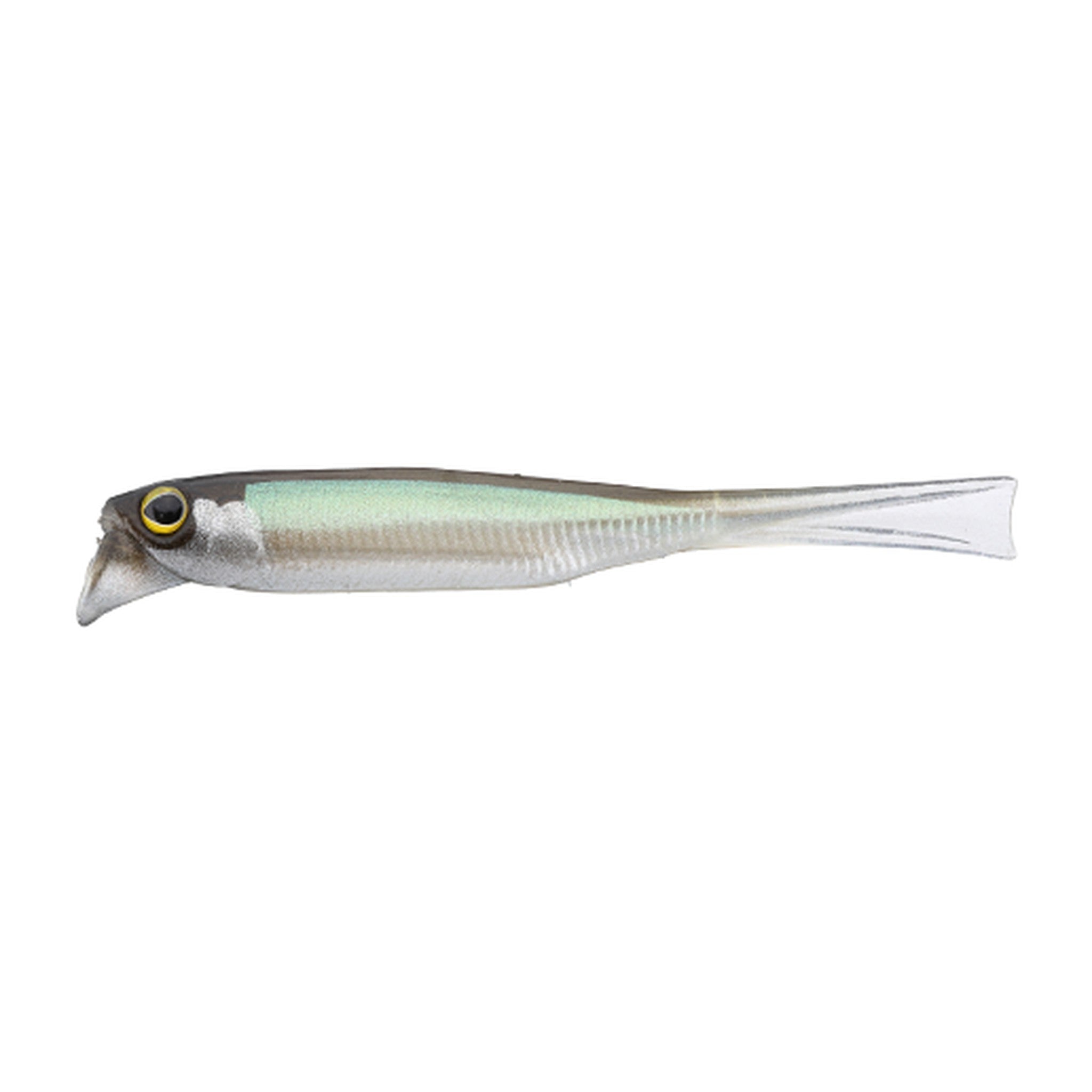 Jackall Driftfry 2.5 Elastomer in Sweet Fish — official Jackall product photo